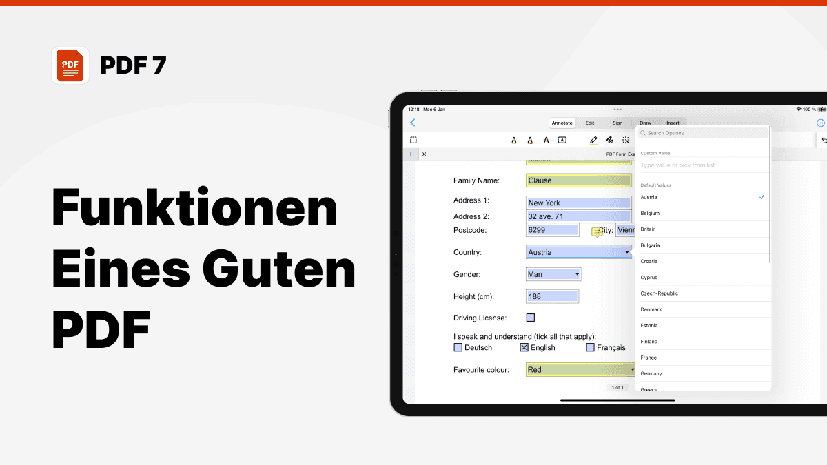 pdf reader ipad 